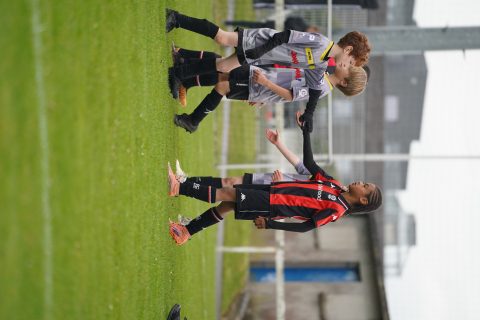 CKU9 2026 Photos 2/8