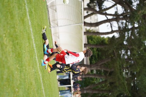 CKU9 2026 Photos 2/8