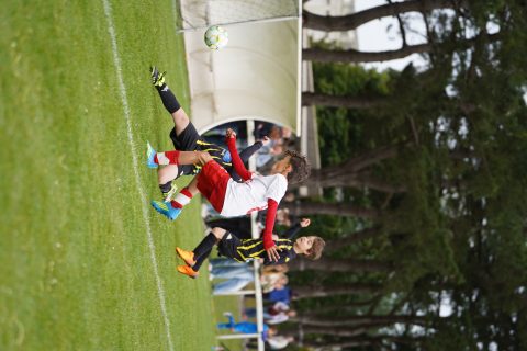 CKU9 2026 Photos 2/8