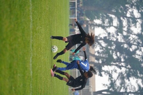 CKU9 2026 Photos 2/8