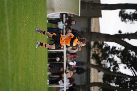 CKU9 2026 Photos 2/8