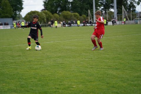 CKU9 2026 Photos 7/8