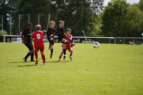 CKU9 2026 Photos 7/8
