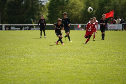 CKU9 2026 Photos 7/8
