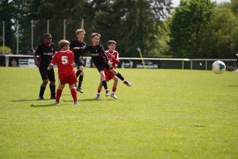 CKU9 2026 Photos 7/8