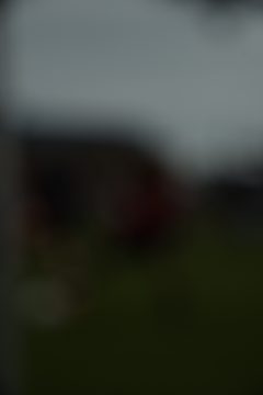 CKU9 2026 Photos 5/8