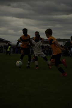 CKU9 2026 Photos 5/8