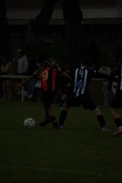 CKU9 2026 Photos 5/8