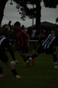 CKU9 2026 Photos 5/8