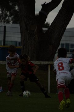 CKU9 2026 Photos 5/8