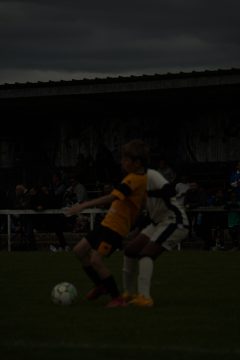 CKU9 2026 Photos 5/8