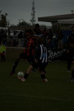 CKU9 2026 Photos 5/8