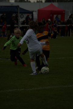 CKU9 2026 Photos 5/8