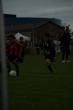 CKU9 2026 Photos 5/8