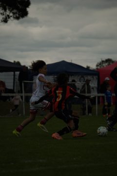 CKU9 2026 Photos 5/8