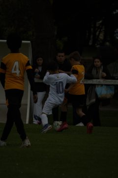CKU9 2026 Photos 5/8