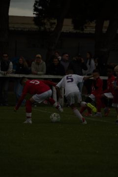 CKU9 2026 Photos 5/8