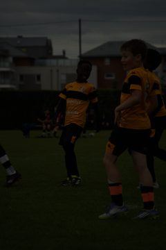 CKU9 2026 Photos 5/8