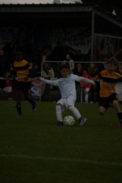 CKU9 2026 Photos 5/8