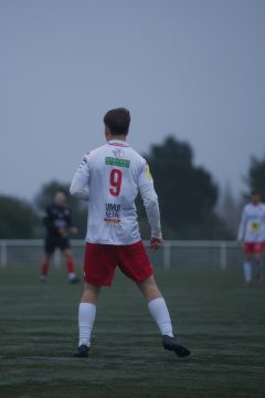 ES DOL AMICAL