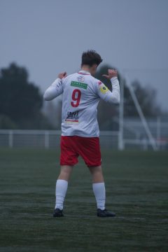 ES DOL AMICAL