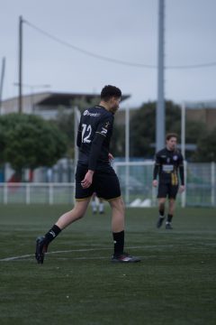 ES DOL AMICAL