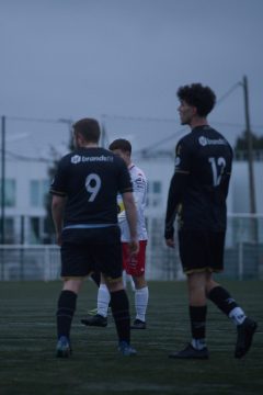 ES DOL AMICAL