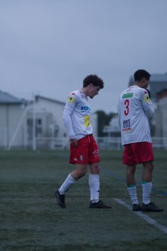ES DOL AMICAL