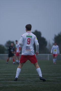 ES DOL AMICAL