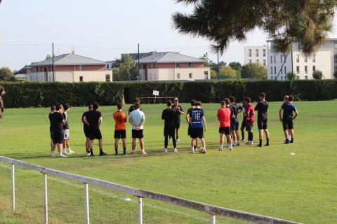 Reprise de l'entraînement