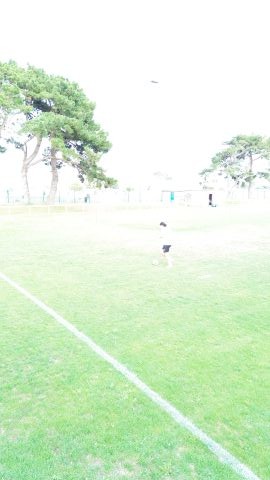 Reprise de l'entraînement