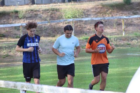 Reprise de l'entraînement