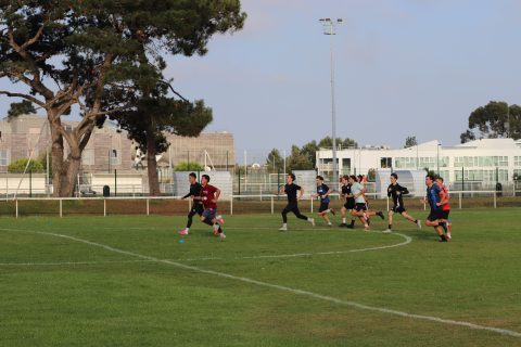 Reprise de l'entraînement
