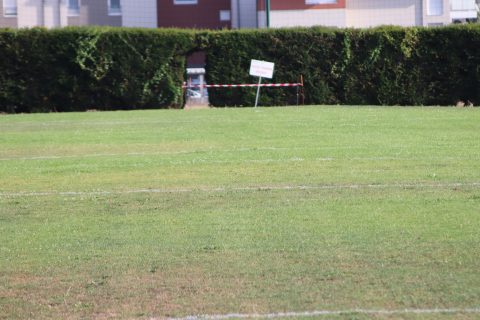 Reprise de l'entraînement
