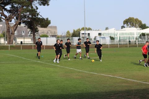 Reprise de l'entraînement