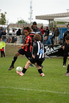OGC NICE