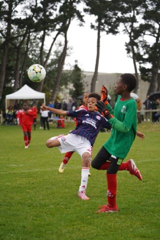 OLYMPIQUE LYONNAIS
