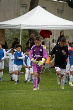OLYMPIQUE LYONNAIS