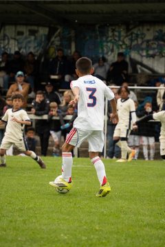 OLYMPIQUE LYONNAIS