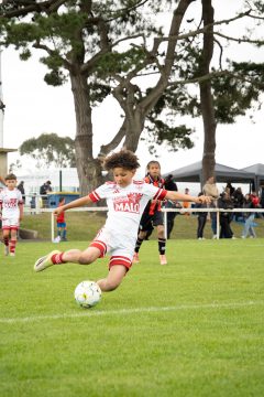 STADE BRESTOIS SB29