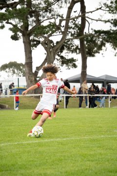 STADE BRESTOIS SB29