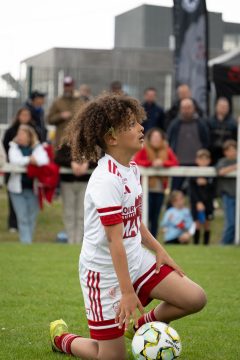 STADE BRESTOIS SB29