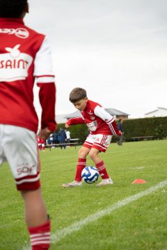 STADE BRESTOIS SB29