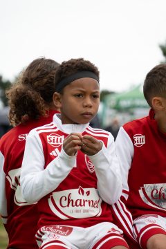 STADE BRESTOIS SB29