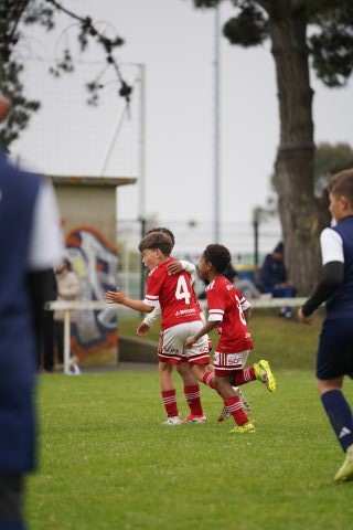 STADE BRESTOIS SB29