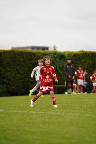 STADE BRESTOIS SB29