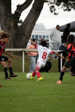 STADE BRESTOIS SB29