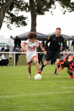 STADE BRESTOIS SB29