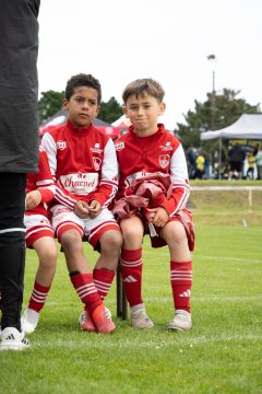 STADE BRESTOIS SB29