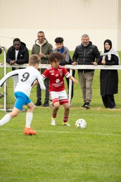 STADE BRESTOIS SB29